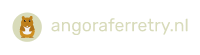 Angoraferretry.nl